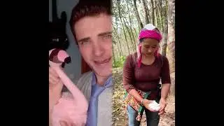 🤣 You Will Laugh Instantly! Best Funny Moments 2026#Humor #Relaxation #Interesting