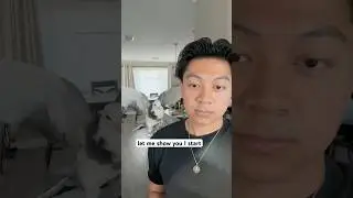 Каково это &mdash; жить с 15+ голубями #птица #голубь