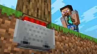 I Killed DrDonut With A Tree