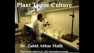 Introduction to Plant Tissue Culture in Urdu/Hind/English by Dr. Zahid Malik