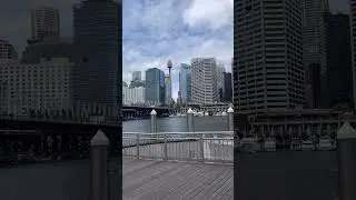 📍Darling Harbour #viralvideo #foryou #visitsydney @ForeverFam234