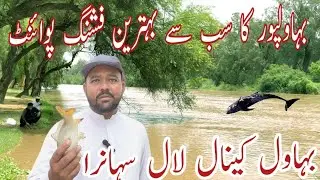 Fishing| lal suhanra fishing point| bahawal pur fishing point|fishing point in bahawalpur|big fish