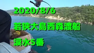 2020/8/6福井県若狭大島西森渡船涙水5番筏（チヌかかり釣り）