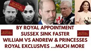 SUSSEX SINK FURTHER, ANDREW'S NEW SCANDAL & ROYAL APPOINTMENT #royal #princeharry #meghanmarkle