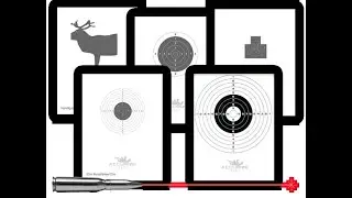 Pokaz działania systemu treningowego Accurize Shooting System