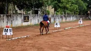 IDDL 2018, 7IQ, IND SZ, Intro Club, Nyanthra Kaarthik, Dancer's Wave