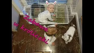 Trojaczki - zabawa w kr&oacute;liczki 🐰🐰🐰