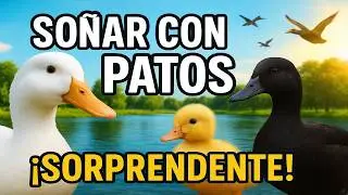 So&ntilde;ar con Patos Blancos, Negros, Beb&eacute;s y M&aacute;s 🦆 | &iexcl;Sorprendente Interpretaci&oacute;n!