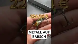 BARSCH und ZANDER mit Nays MTL | Tag 22 im Better Fishing Adventskalender #fishing #barsch #angeln