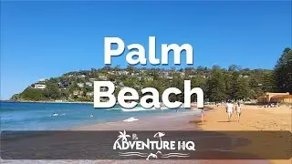 Palm Beach Sydney | AdventureHQ