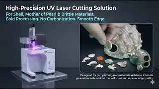 Can a UV Laser Really Cut Seashells Cleanly? Watch the Full Demo | 10W UV laser cutting seashell