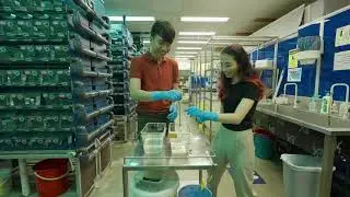Day in the Life of an A*STAR Scholar
