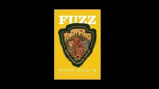 Fuzz: When Nature Breaks the Law (Science on Tap Livestream Show)