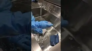 Ion Rinse