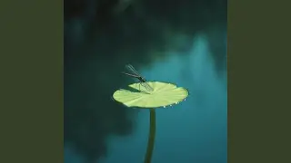 Thin as Breath