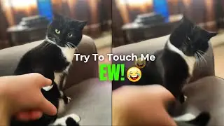 Case A Bum Try To Touch me , 