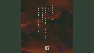 Amazonas (Michael Ritter Remix)