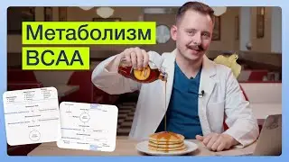 Метаболизм BCAA | SYNAPSE