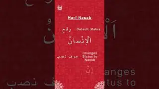 Learn Quran Arabic | #43 #learnarabic #quranarabictext  #quranstudies #arabiclanguage
