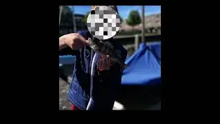Big perch/grote baars #fishing #like #manyviews #subscribe #fypシ゚viral #fyp