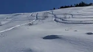 2019 Carl's cycle 900, 2017 axys rmk silver turbo playing in the pow.