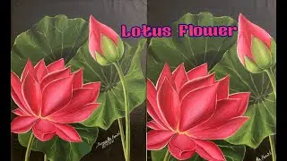 How To Draw A Lotus / Lotus flower drawing & coloring ( using Acrylic Paint ) step by step