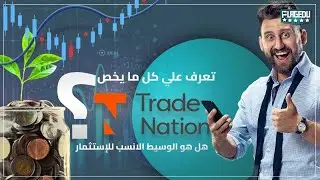 Trad Nation: a comprehensive review and its services - is it a good option for beginners?