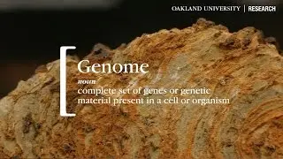 OU Research | Bioinformatics