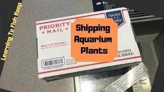 Shipping Aquarium Plants