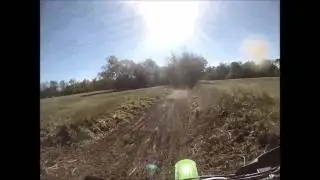 Torn +45 Int  Miller Ranch 2016