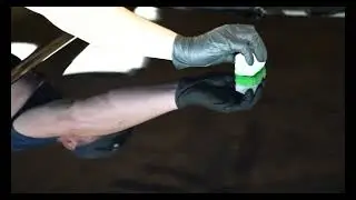 Shine & Protect Mobile Detailing