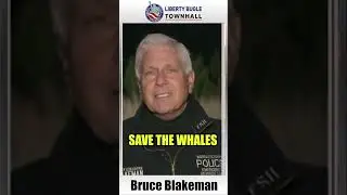 Wind Turbines and Whale Deaths
