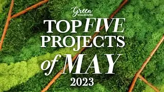 May 2023 Moss Wall Masterpieces: From Logos to Landscapes | A Visual Feast by Green Wallscapes