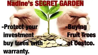 Cheap Fruit Trees at Costco|Protect your investment buy plants w/warranty|Garden|Houston|Texas