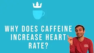 Why Does Caffeine Increase Heart Rate (Explained in 60 seconds!)? #shorts