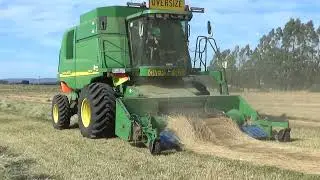 Sand Park Grass Seed Harvest 2026 Part 1