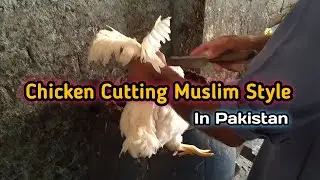 Chicken Cutting Muslim Style in Pakistan, How to cut a while chicken, NEW Cutting Style