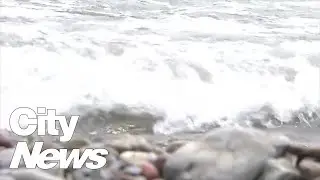 $4.9-million being invested in Toronto's sewage system to prevent waste water ending up in Lake Onta