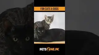 Pet Nosh Pet Food