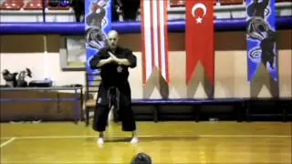 Sensei Gustavo Albear- Okinawa Karate / Turkei seminar