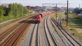 MZ1459 i Ab