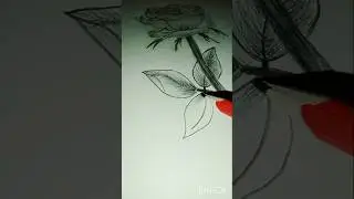 #flower #drawing #shorts