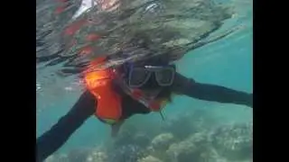 Beautiful Under Water Scenery At Gili Labak Madura Indonesia