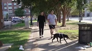 Downtown Tulsa getting new public dog parks to serve growing pet population