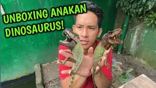UNBOXING DINOSAURUS JAMAN NOW!