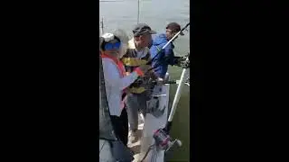lingcod fishing bc