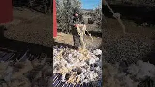 اللهم امين يارب العالمين