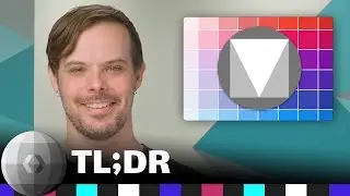 The Developer Show (TL;DR 065)