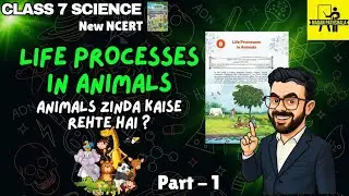 Life Processes in Animals | Class 7 Science 🧬 | PART 1 | NEW NCERT (CURIOSITY)