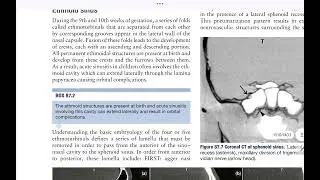Scott Brown's Rhinology - Development of Nose and Paranasal Sinuses 